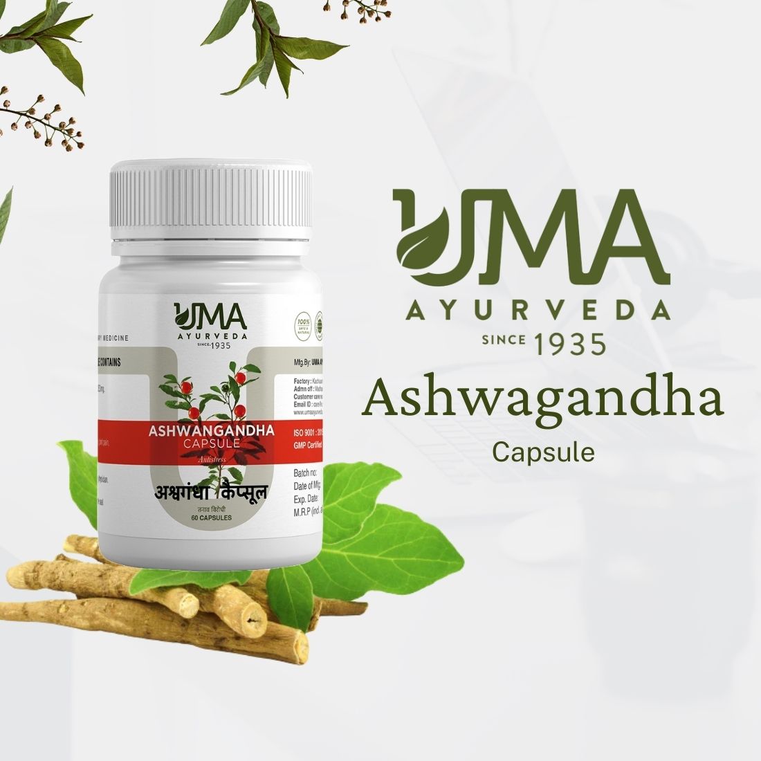 Ayurvedic Ashwagandha Capsule For Reduce Stress and Weakness