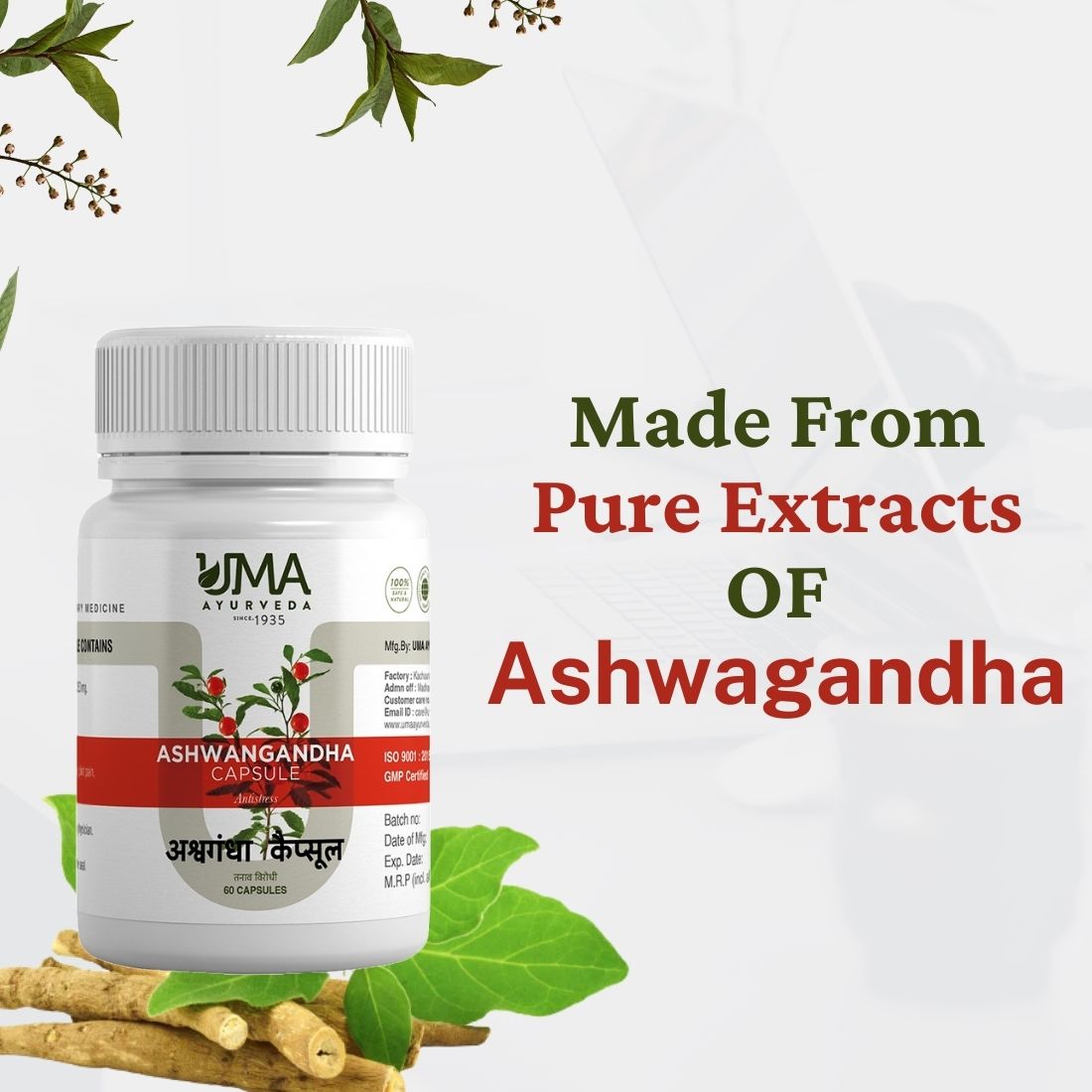 Ayurvedic Ashwagandha Capsule For Reduce Stress and Weakness