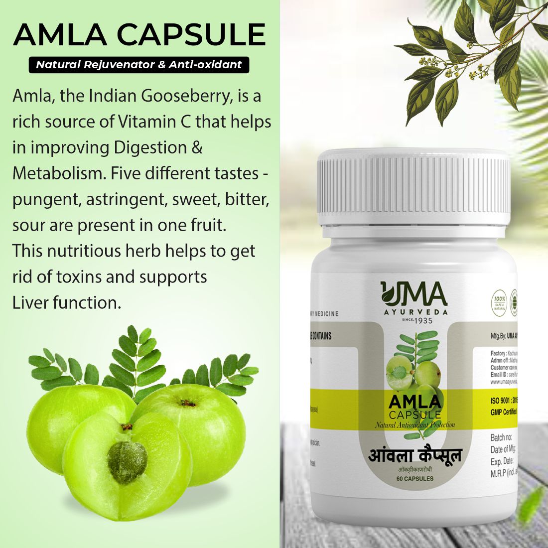 Ayurvedic Amla Capsule For Immunity Booster