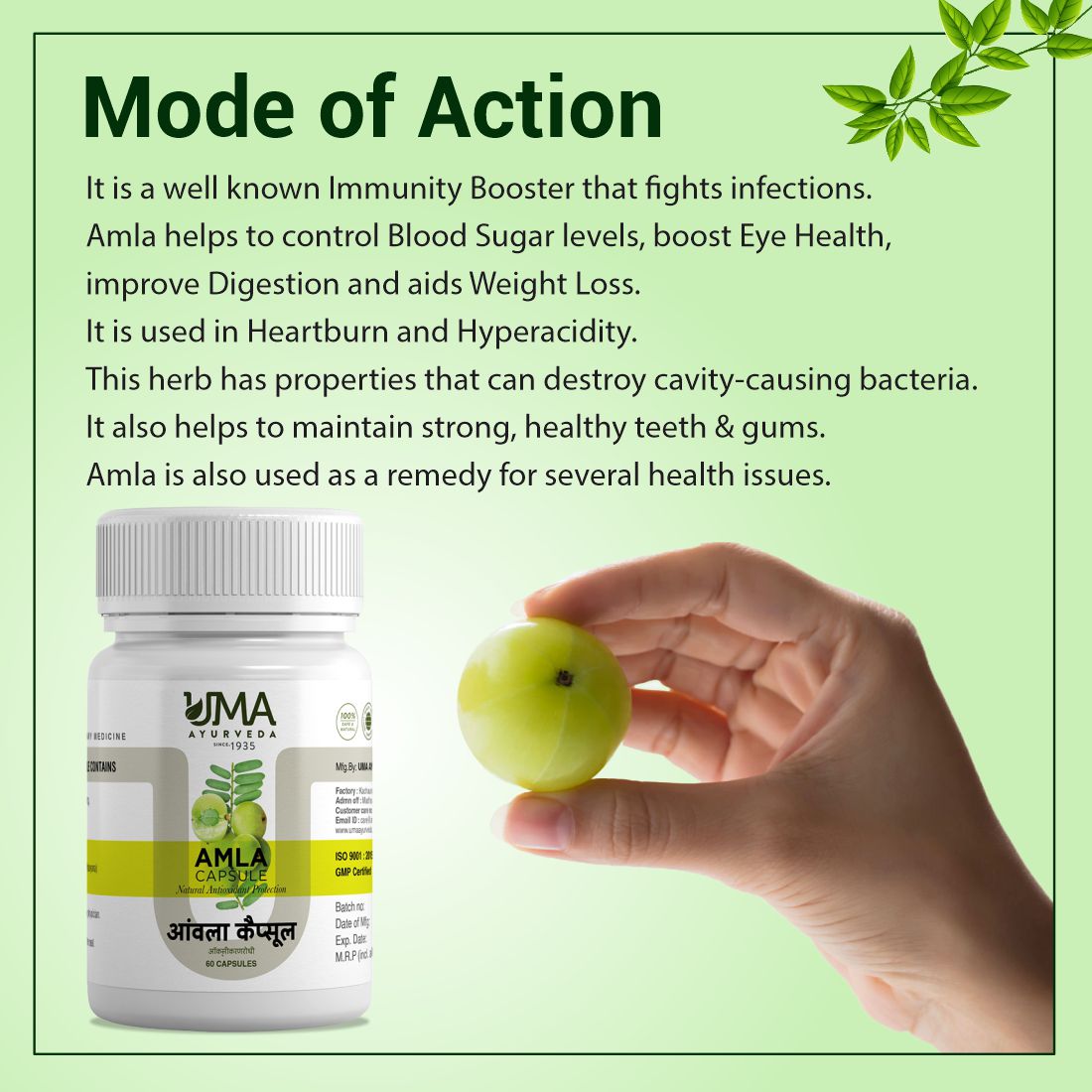 Ayurvedic Amla Capsule For Immunity Booster