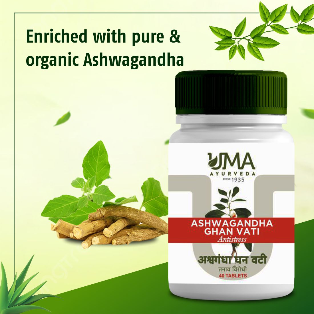 Ashwagandha GhanVati Ayurvedic Tablet Useful in Immunity Protector