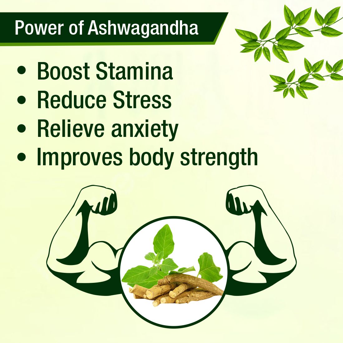 Ashwagandha GhanVati Ayurvedic Tablet Useful in Immunity Protector