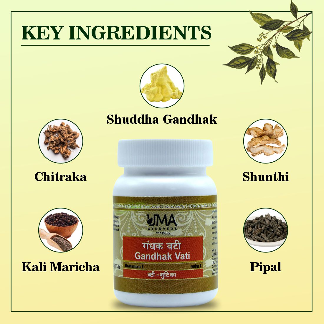 Gandhak Vati (Raj Vati) Useful in Amenorrhoea Dysmenorrhea