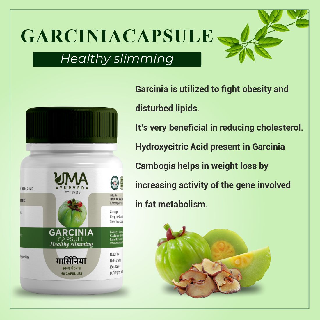 Garcinia Herbal  Ayurvedic Medicine for Weight Loss