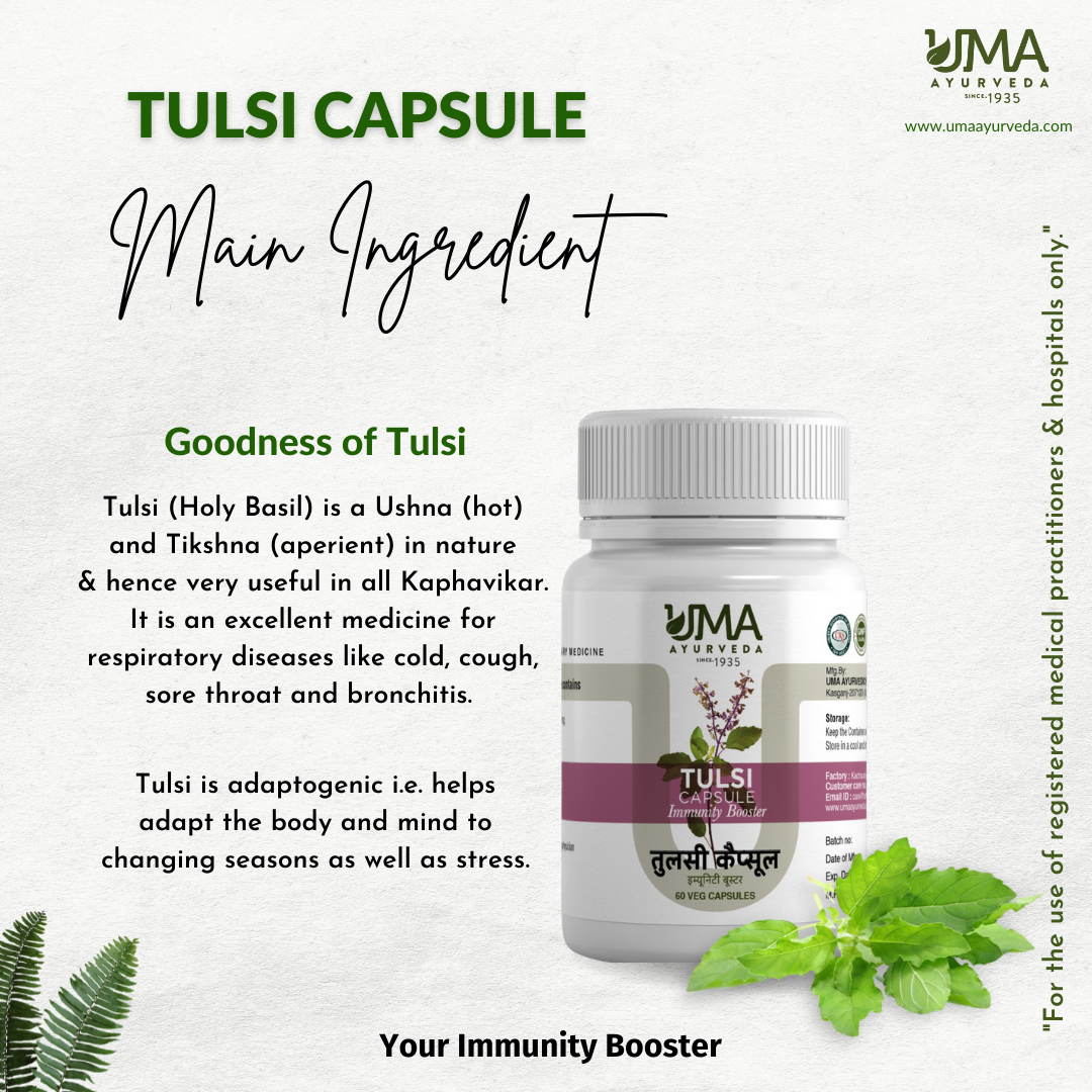 Ayurvedic Tulsi Capsule For Cold, Cough 