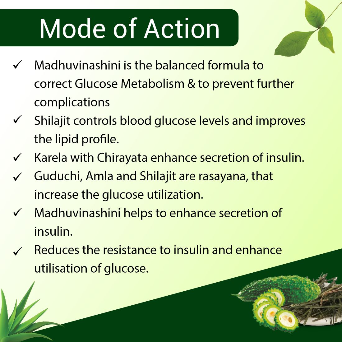 ayurvedic medicine support diabetes