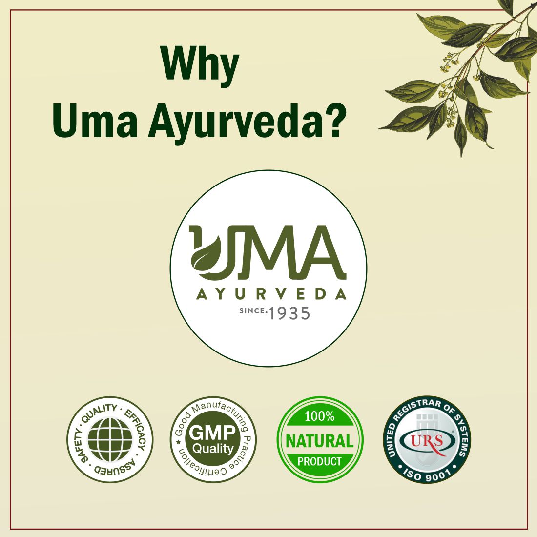 Uma Ayurveda Punarnavadi Mandur useful in Anaemia, Splenomegaly