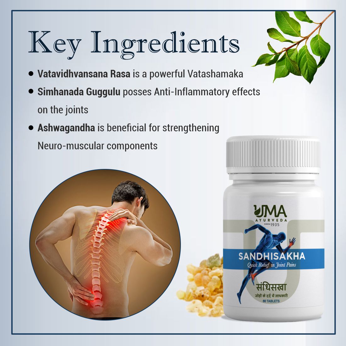 Sandhisakha Ayurvedic Tablets Helpful for Muscles & Joint Pain