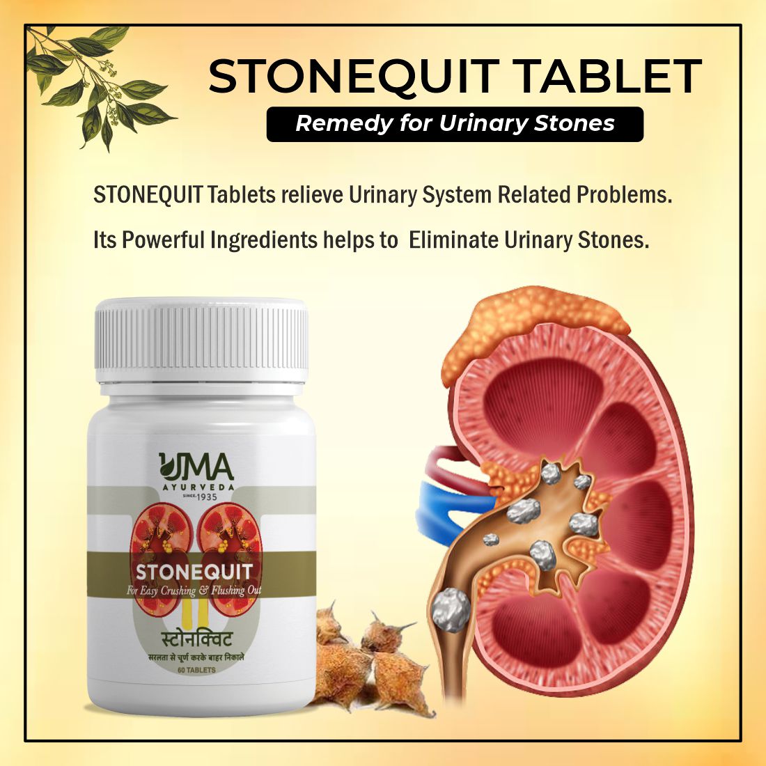 Stonequit Herbal Mineral Tablet for Urinary Stones